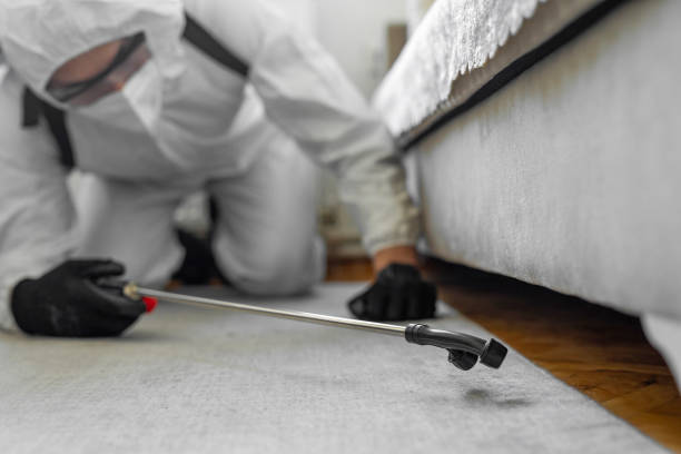Professional Termite Control technician working in Yulee, FL