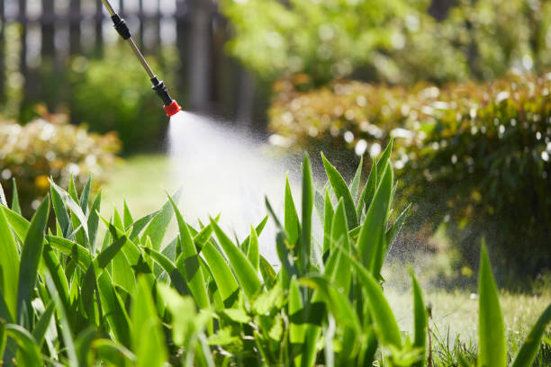 24/7 Emergency Termite Control experts in Yulee, FL
